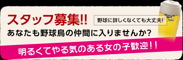 スタッフ募集!!あなたも野球鳥の仲間に入りませんか？明るくてやる気のある女の子歓迎！！野球に詳しくなくても大丈夫！